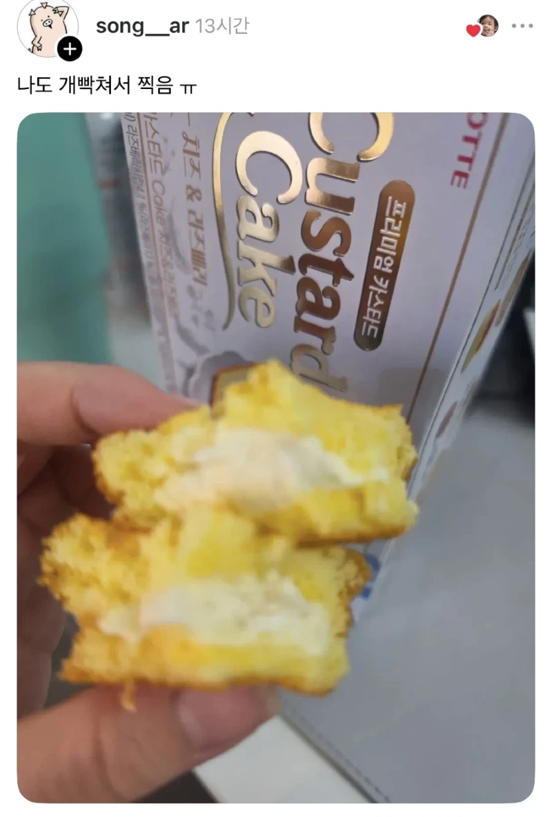 피해자 속출중인 롯데 신상 과자