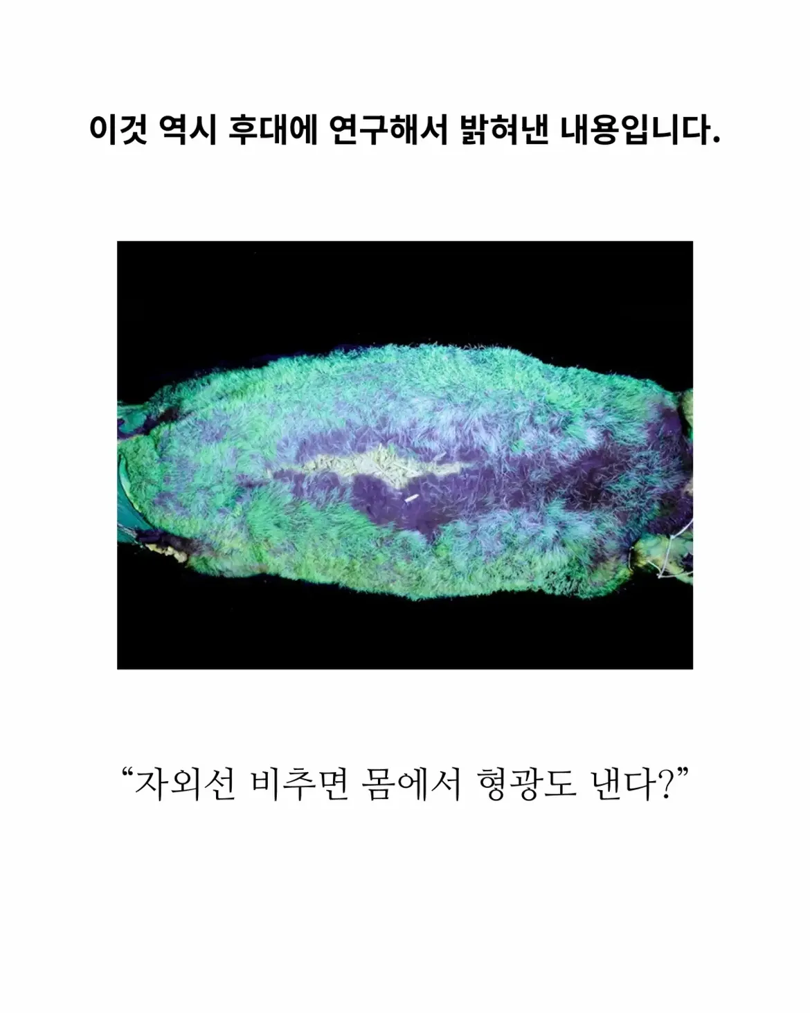 18세기 허언증 갤러리.jpg