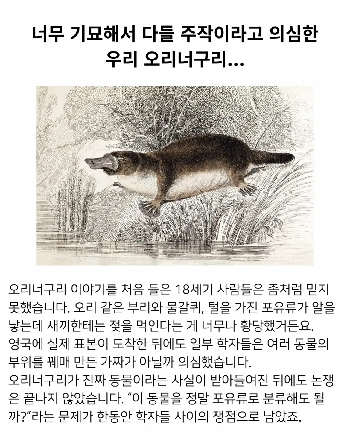 18세기 허언증 갤러리.jpg