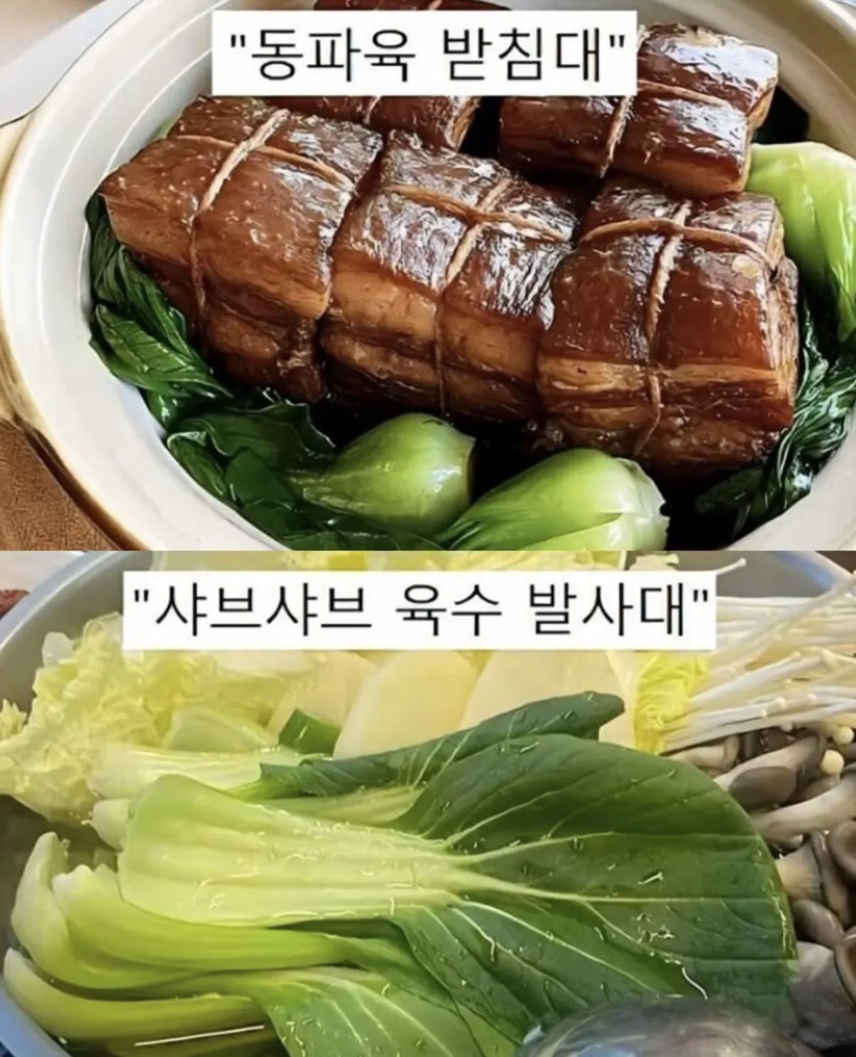 청경채의 모욕적인 별명들.jpg