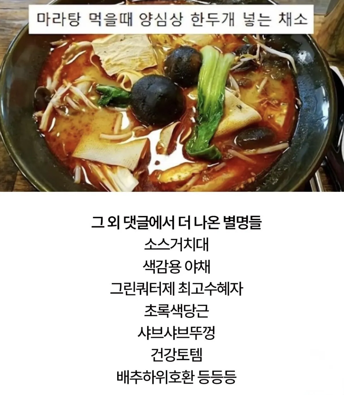 청경채의 모욕적인 별명들.jpg