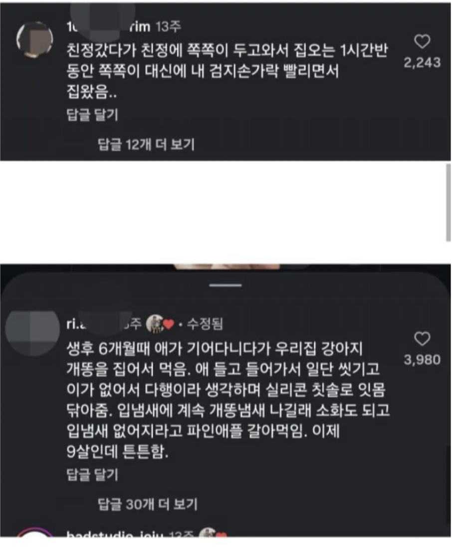 아이 막키우기 대회 댓글.jpg
