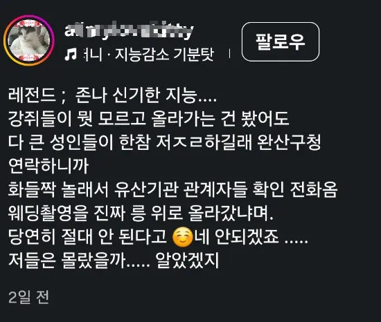 무덤 밟고 웨딩 촬영하는 호쌍새 커플
