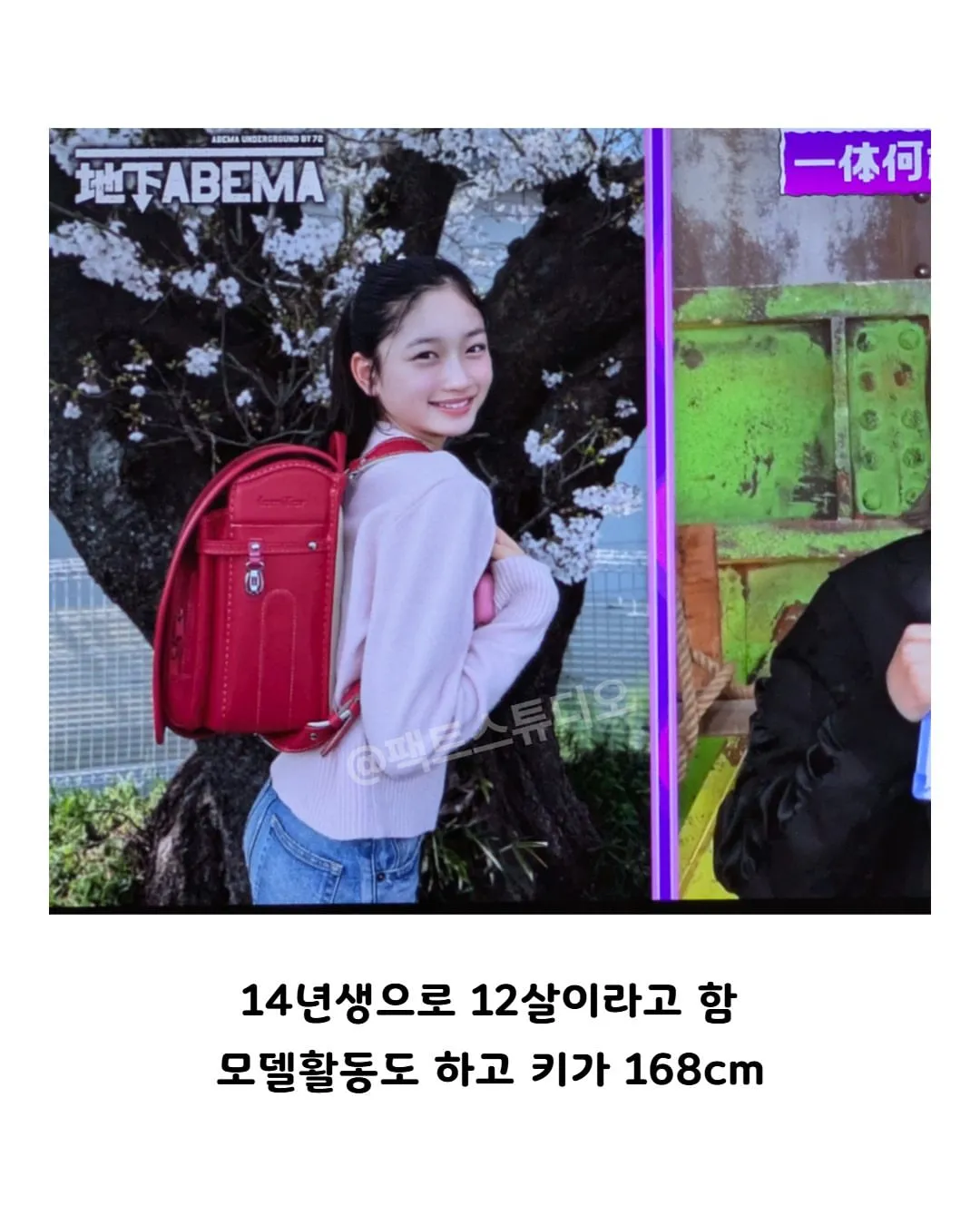 일본예능에 나와  논란인 여자 출현자