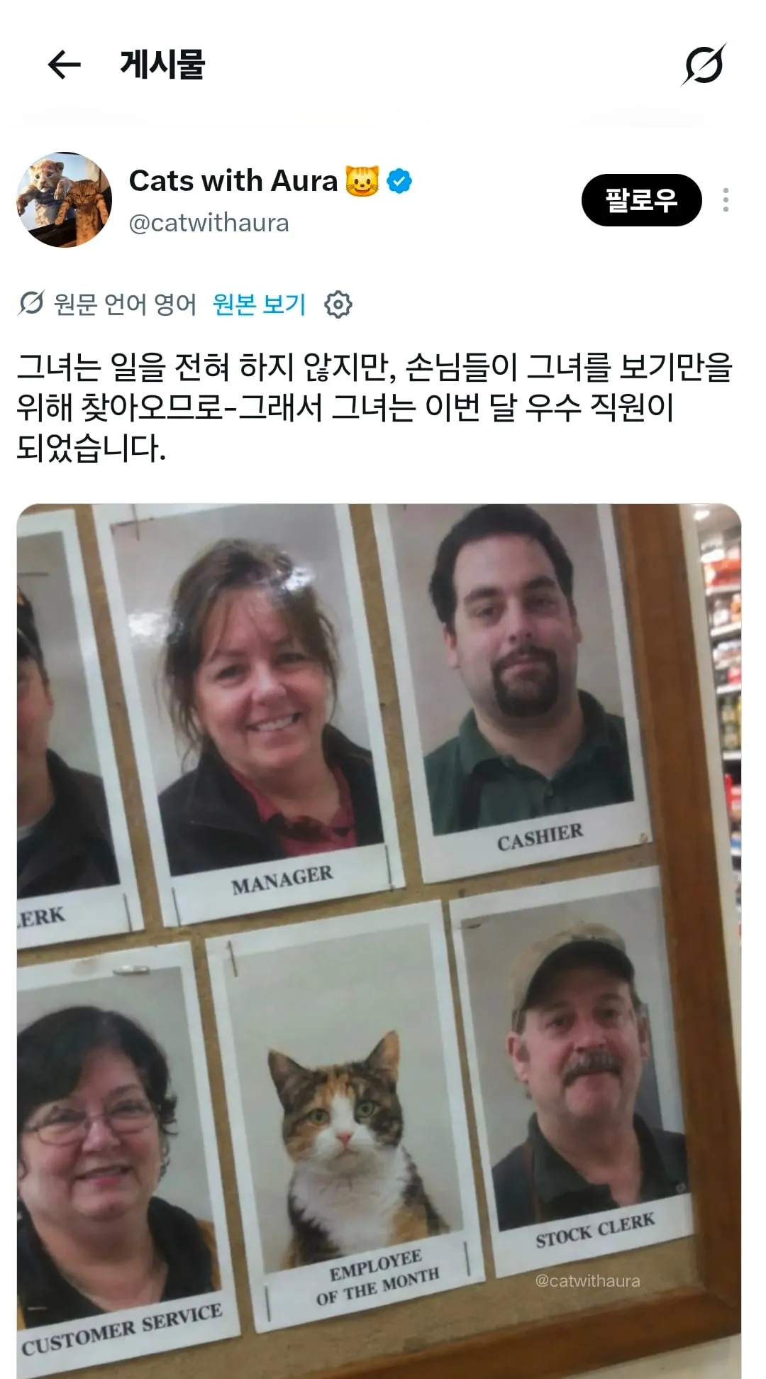 레벨존 인기 게시물 - 일을 안하는데 우수사원으로 선정됨
