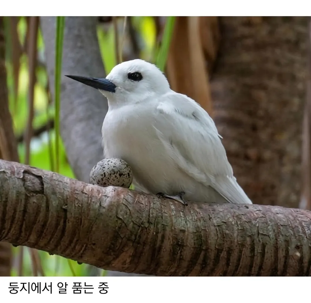 태어난 김에 대충 사는 새.jpg