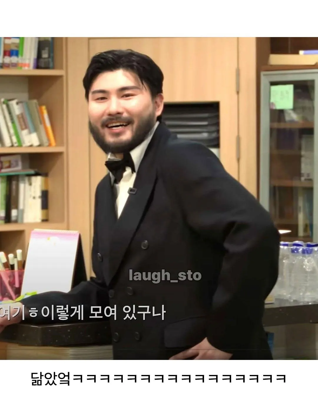 카더가든 닮은 강아지.jpg