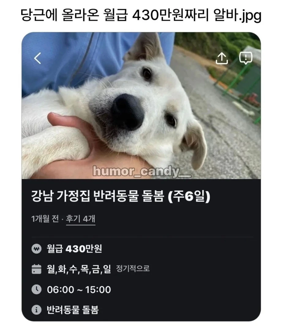 당근에 올라온 월급 430만원짜리 알바.jpg