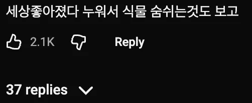🔬  4억년만에 관측한 장면ㄷㄷ