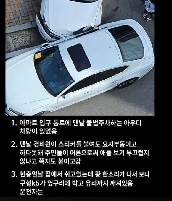 레벨존 인기 게시물 - 담당일진이 등장한 불법주차 아우디 사건