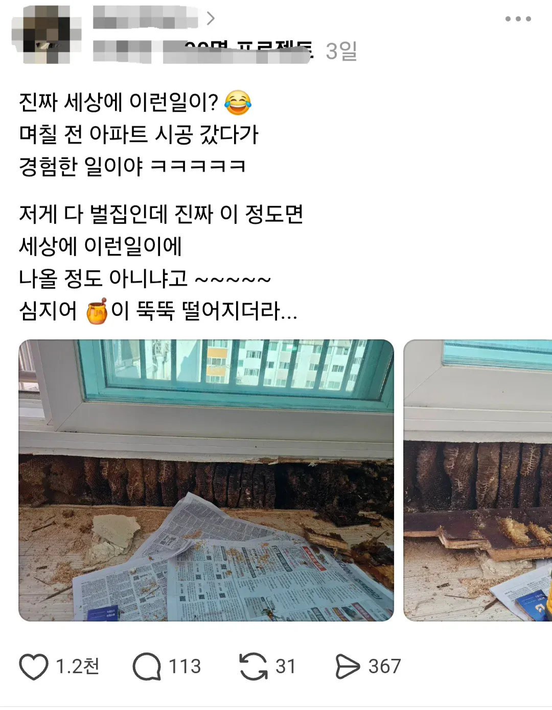 아파트 인테리어 하러갔다가 벌집 발견한 사람