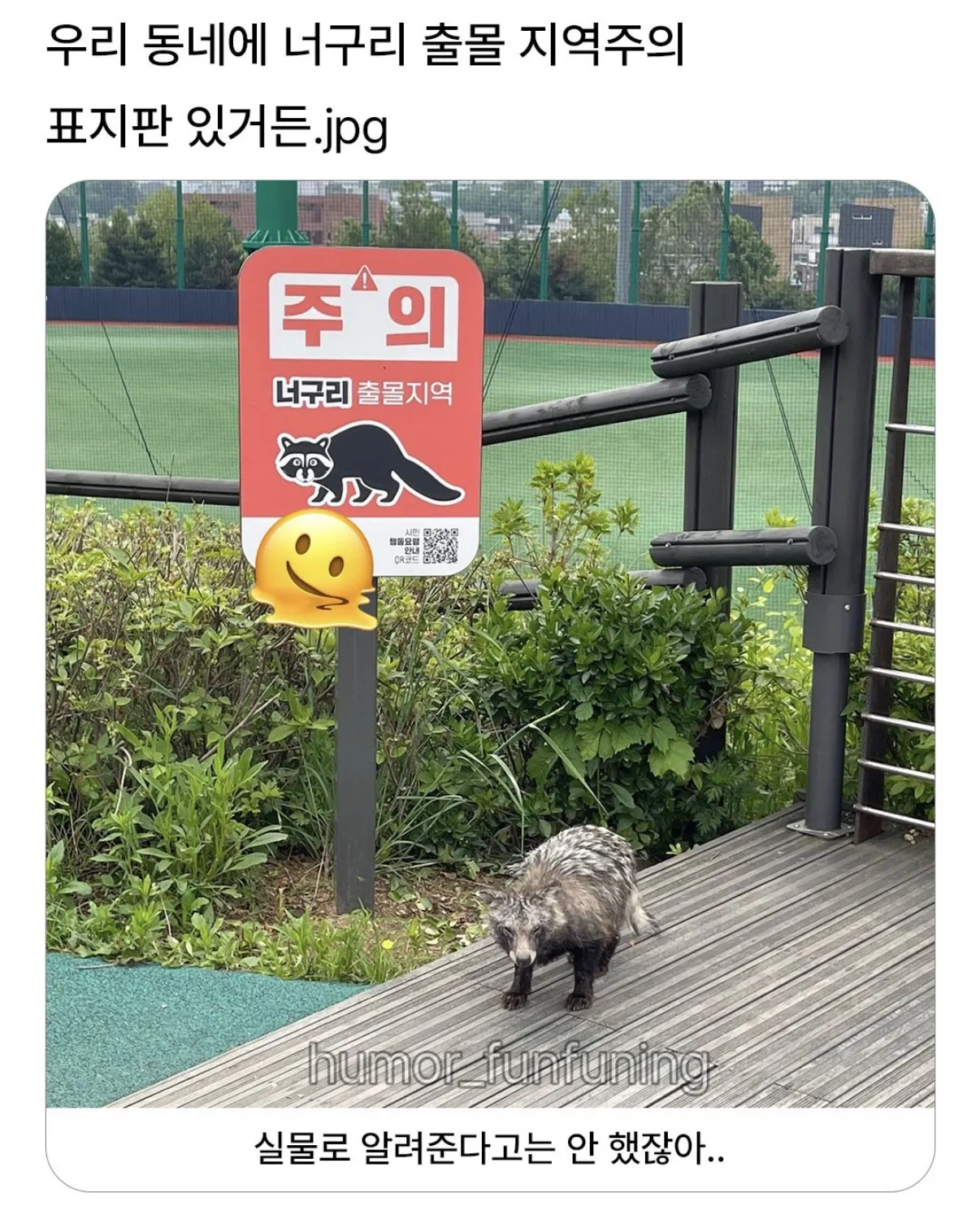 레벨존 인기 게시물 - 우리동네에 너구리 출몰지역주의 표지판이 있거든.jpg