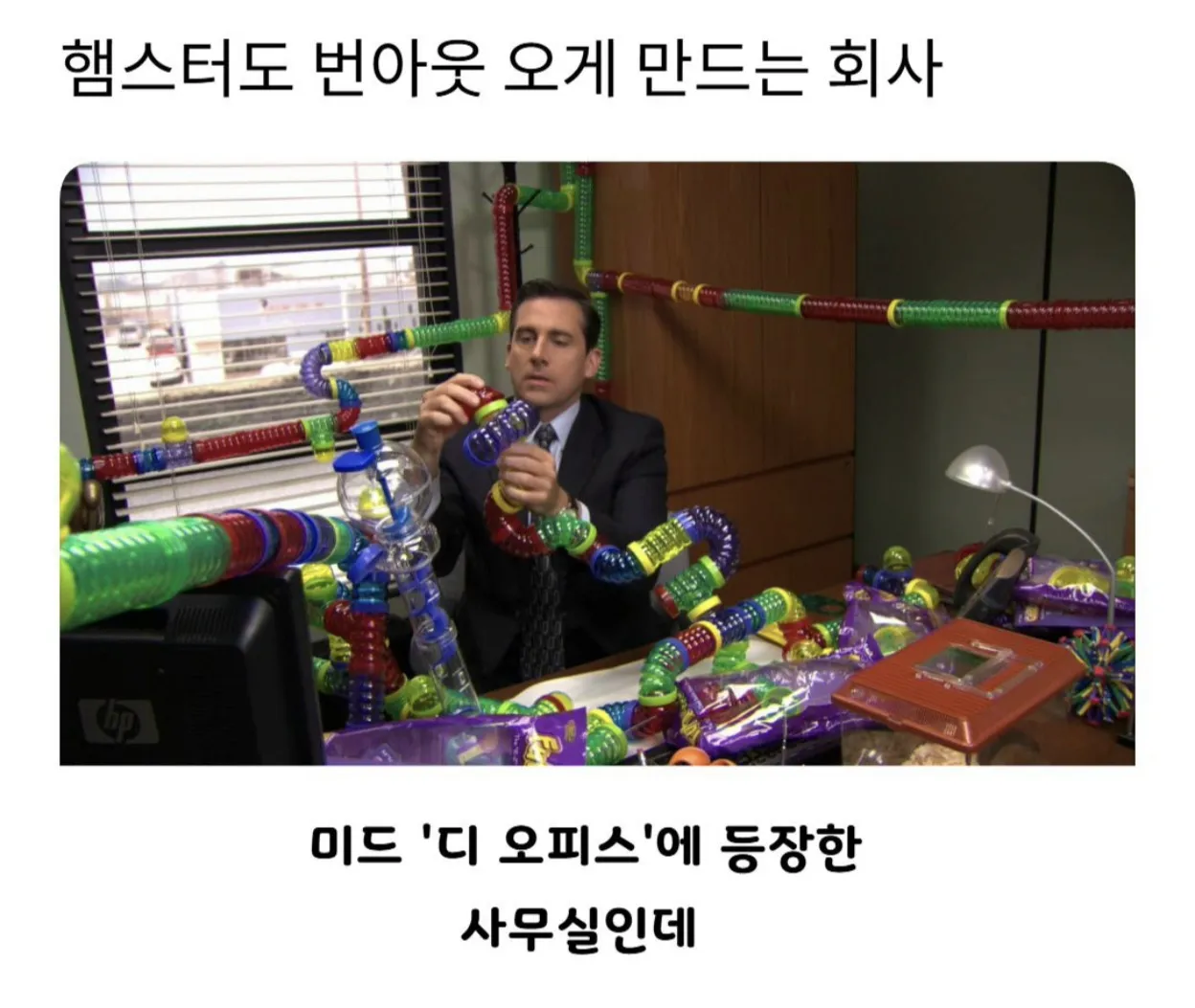 레벨존 인기 게시물 - 햄스터도 번아웃 오게 만드는 회사.jpg