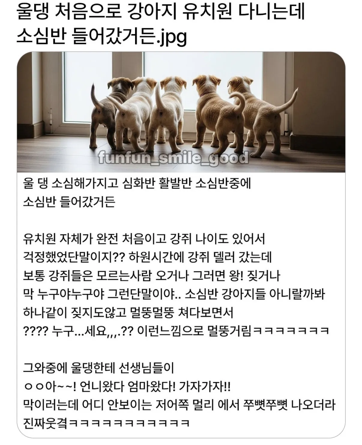 울집강아지 강아지유치원 소심반 들어갔거든?.jpg