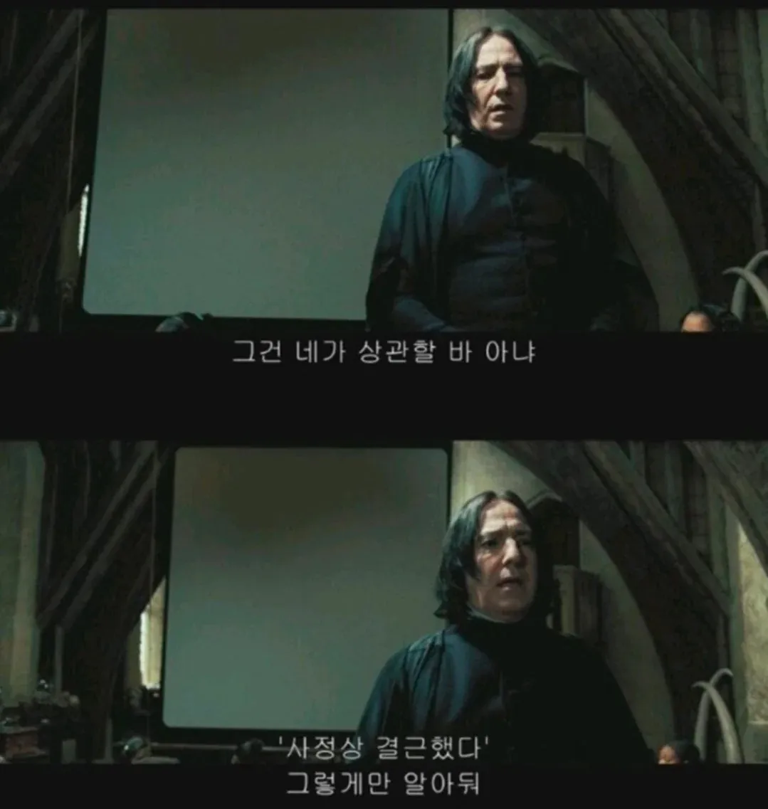 의외로 다 가르쳐주었다는 스네이프 교수.jpg