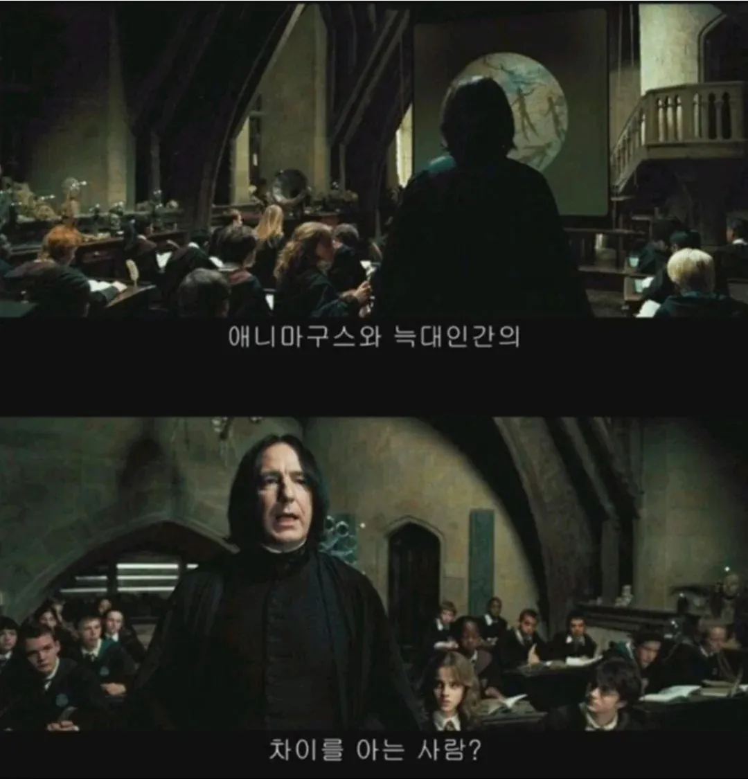 의외로 다 가르쳐주었다는 스네이프 교수.jpg