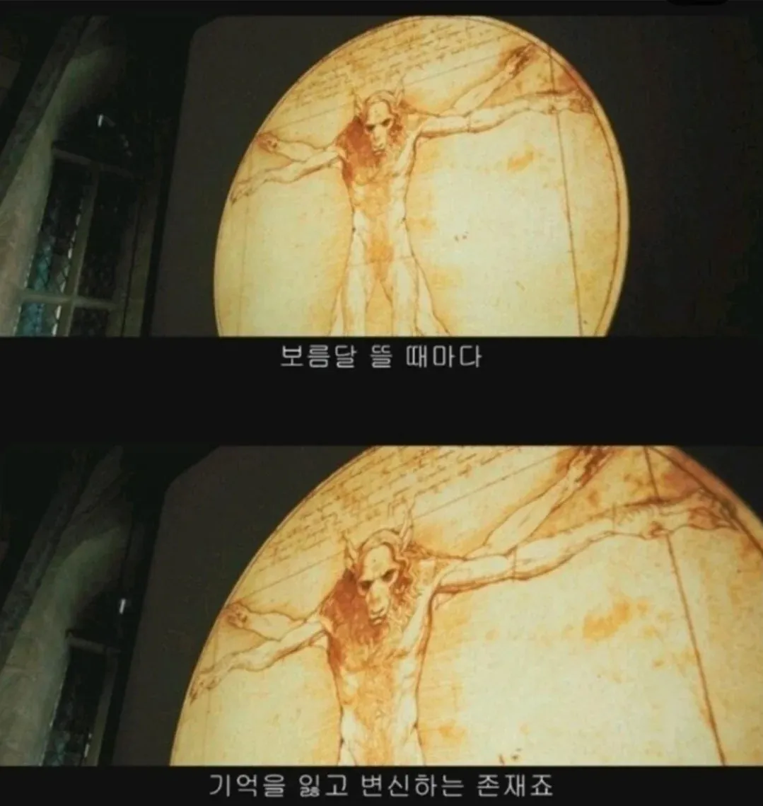 의외로 다 가르쳐주었다는 스네이프 교수.jpg