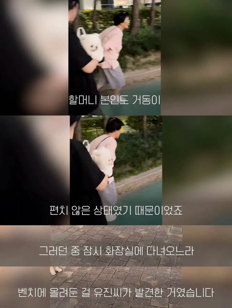 한강벤치 비닐봉지에담겨 버려진줄 알았던 강아지