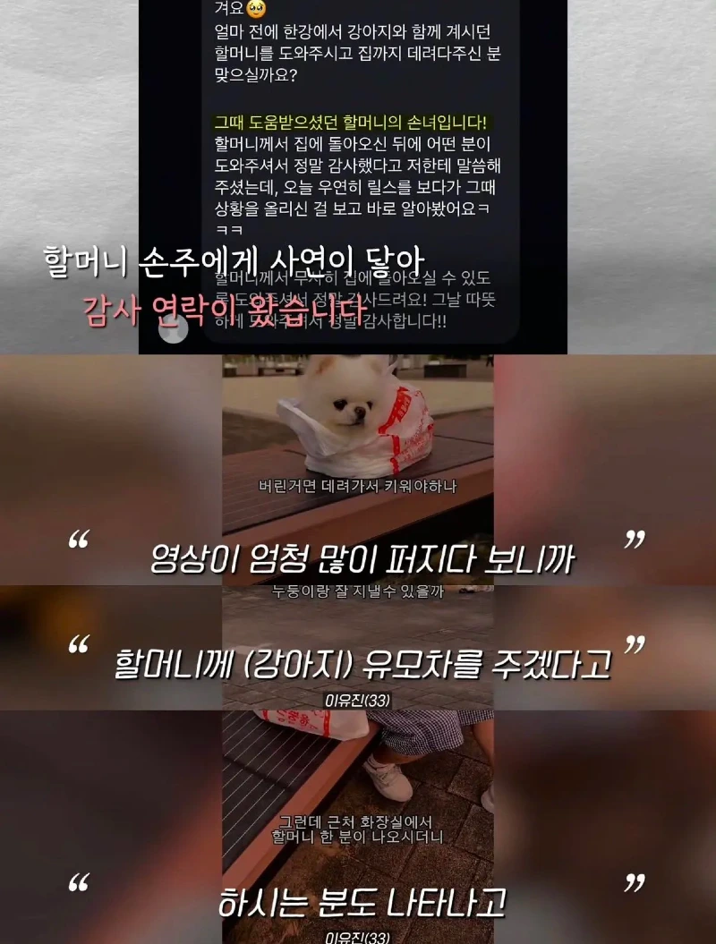 한강벤치 비닐봉지에담겨 버려진줄 알았던 강아지