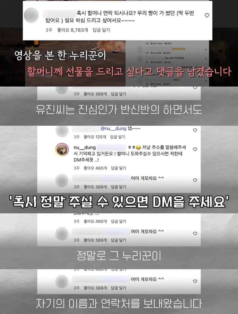 한강벤치 비닐봉지에담겨 버려진줄 알았던 강아지