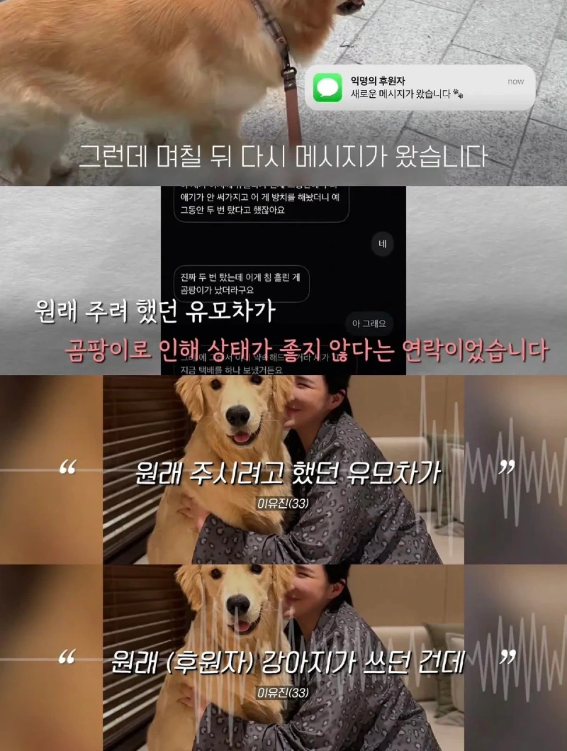 한강벤치 비닐봉지에담겨 버려진줄 알았던 강아지