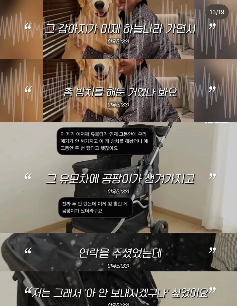 한강벤치 비닐봉지에담겨 버려진줄 알았던 강아지