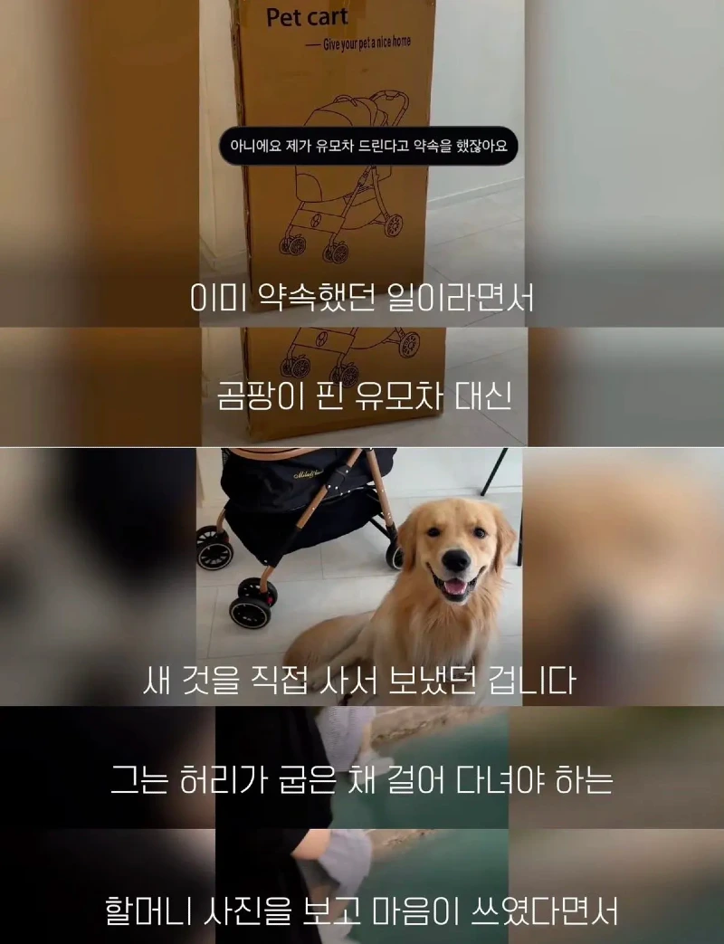 한강벤치 비닐봉지에담겨 버려진줄 알았던 강아지