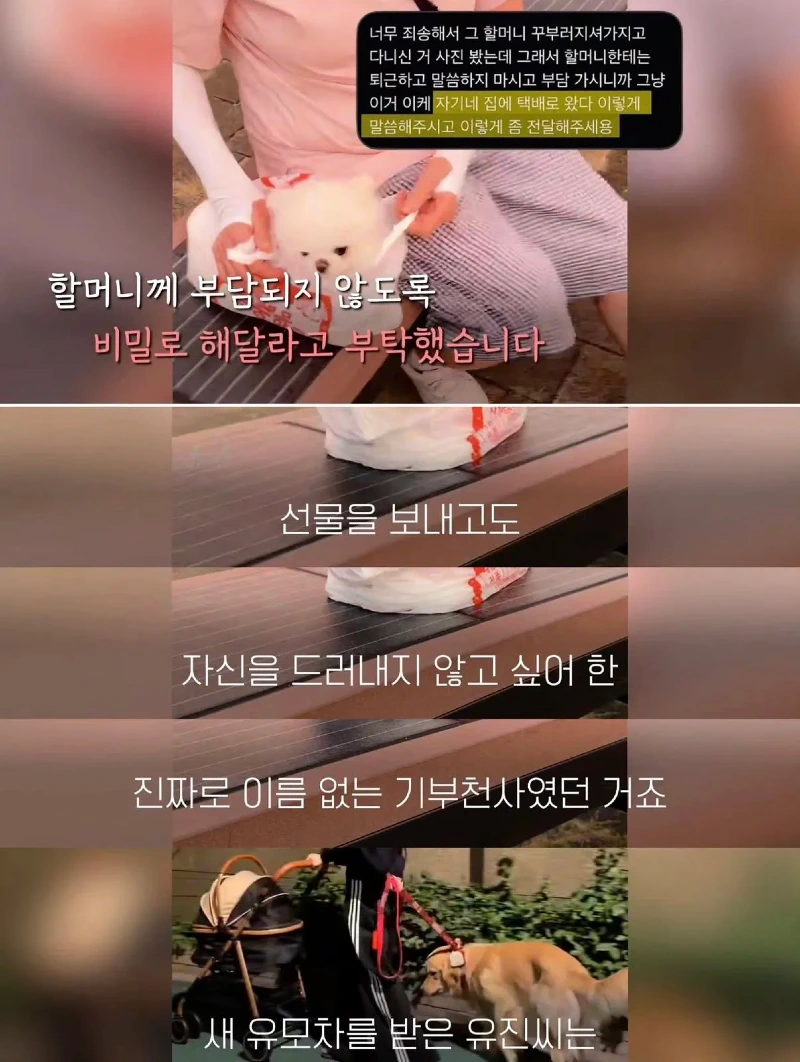 한강벤치 비닐봉지에담겨 버려진줄 알았던 강아지