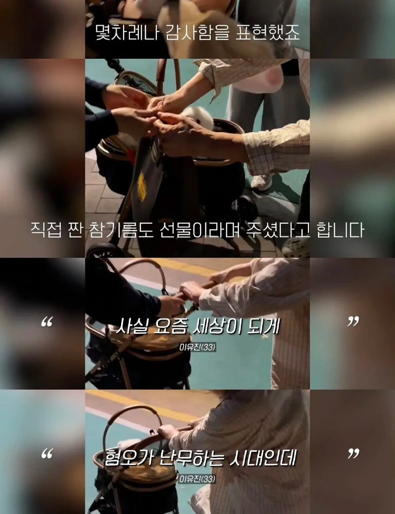 한강벤치 비닐봉지에담겨 버려진줄 알았던 강아지