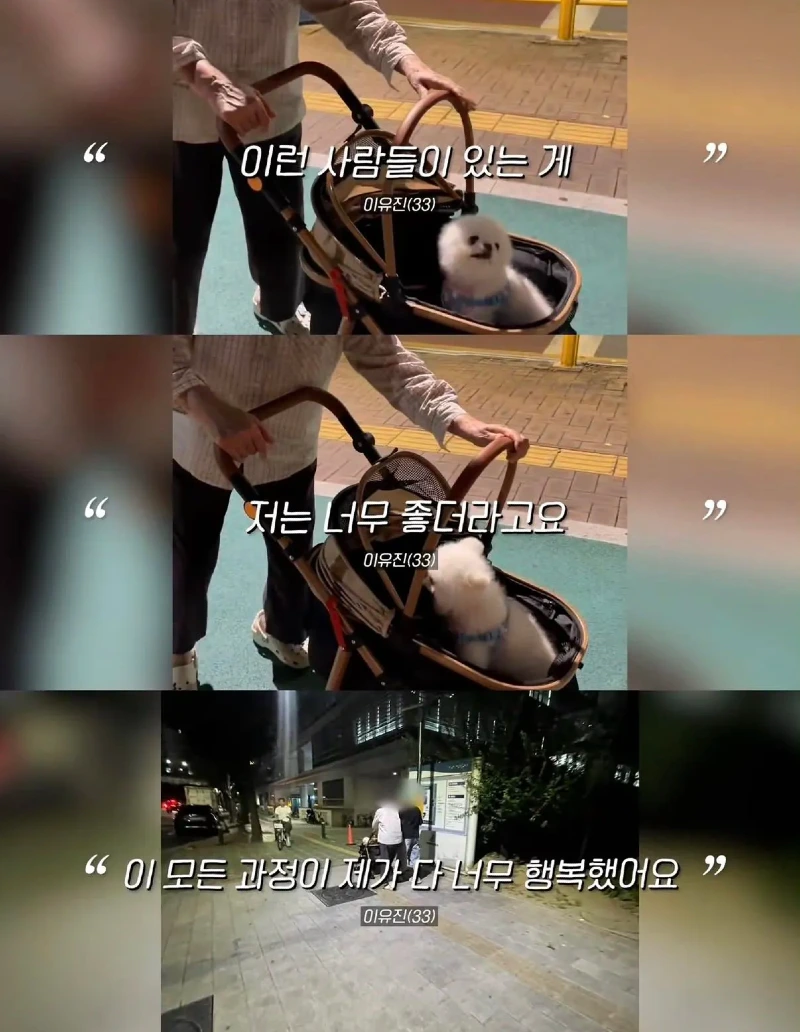 한강벤치 비닐봉지에담겨 버려진줄 알았던 강아지