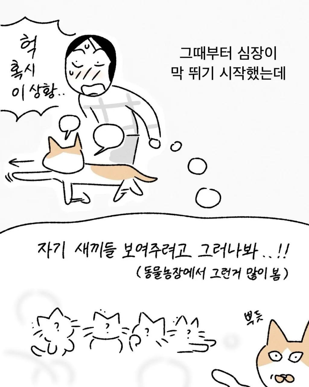 프로 츄르강탈 고양이