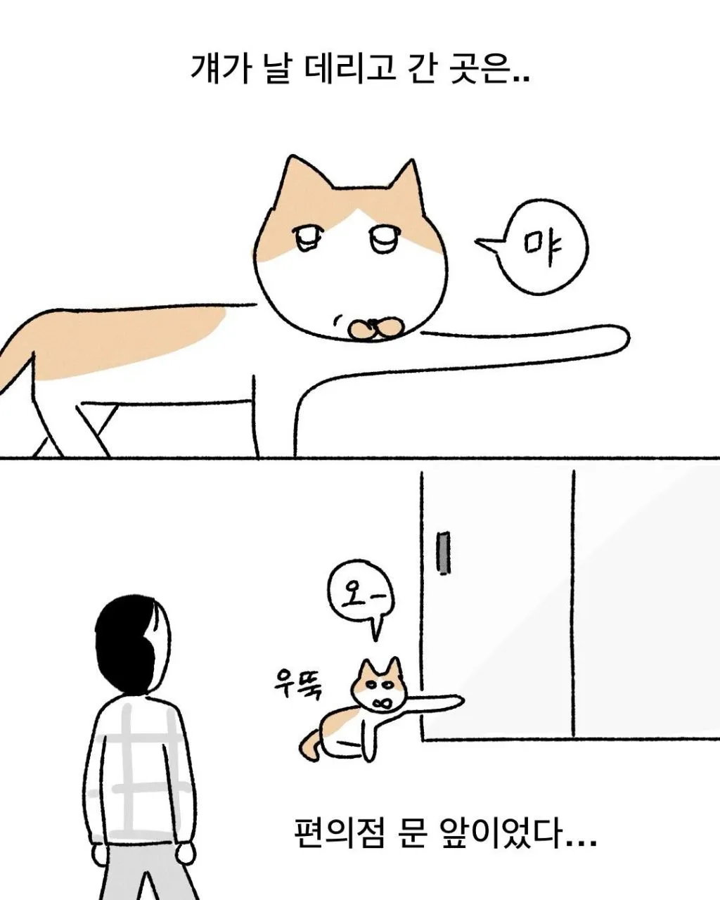 프로 츄르강탈 고양이