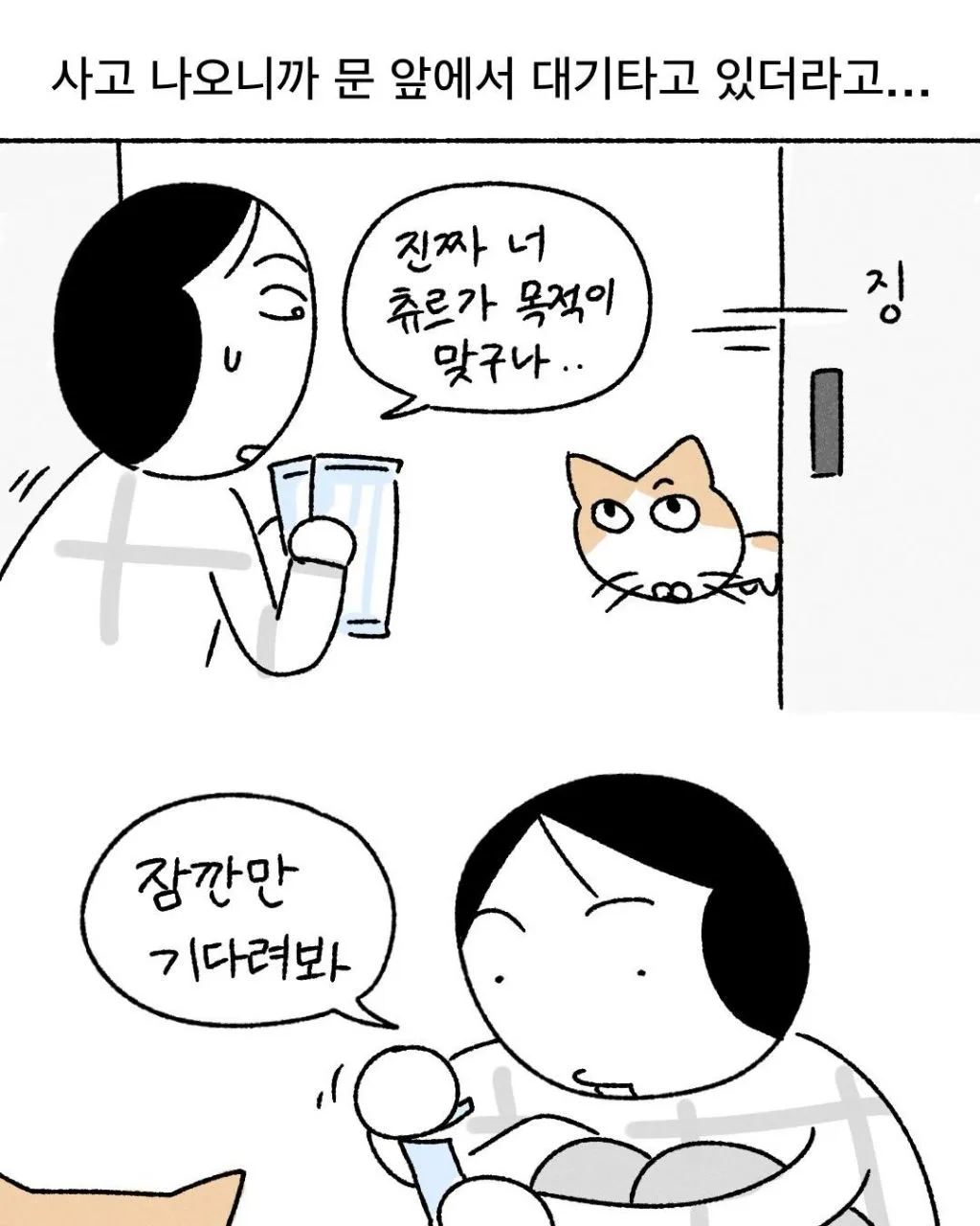 프로 츄르강탈 고양이
