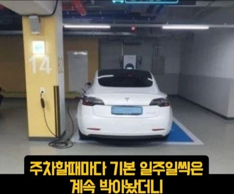 전기차 산걸 후회한다는 사람.jpg