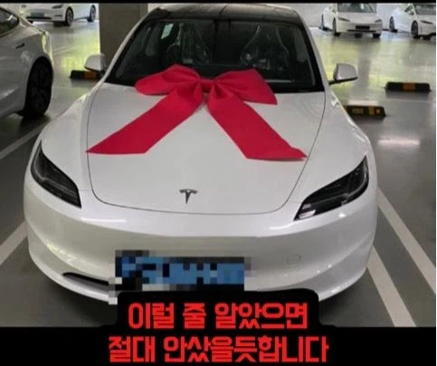 전기차 산걸 후회한다는 사람.jpg