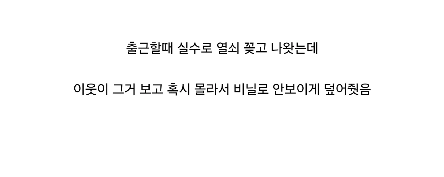 반차 내고 집에온 일본인이 감동한 이유.jpg