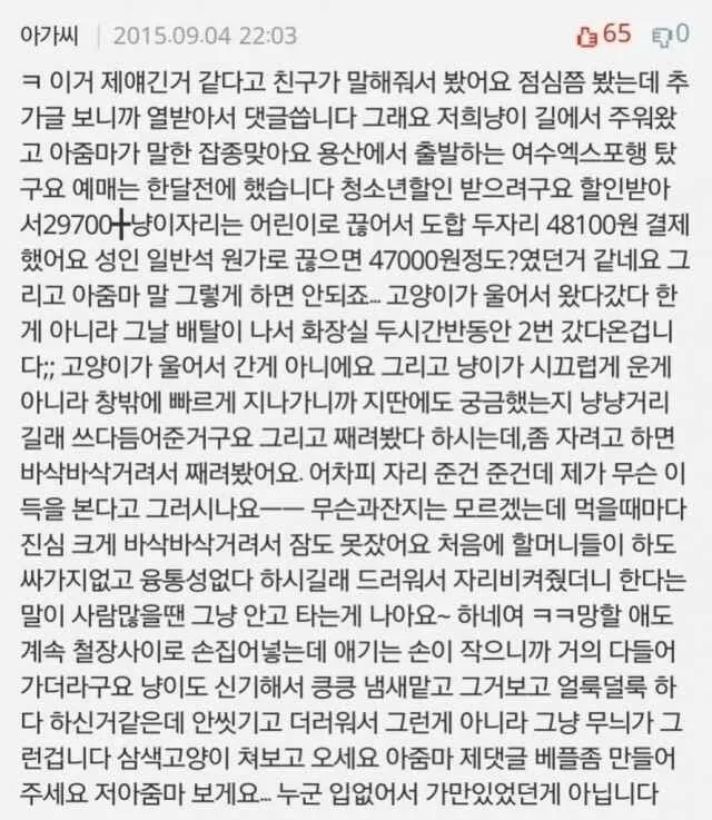 개드립 간 KTX 입석 빌런 만화 원글...jpg