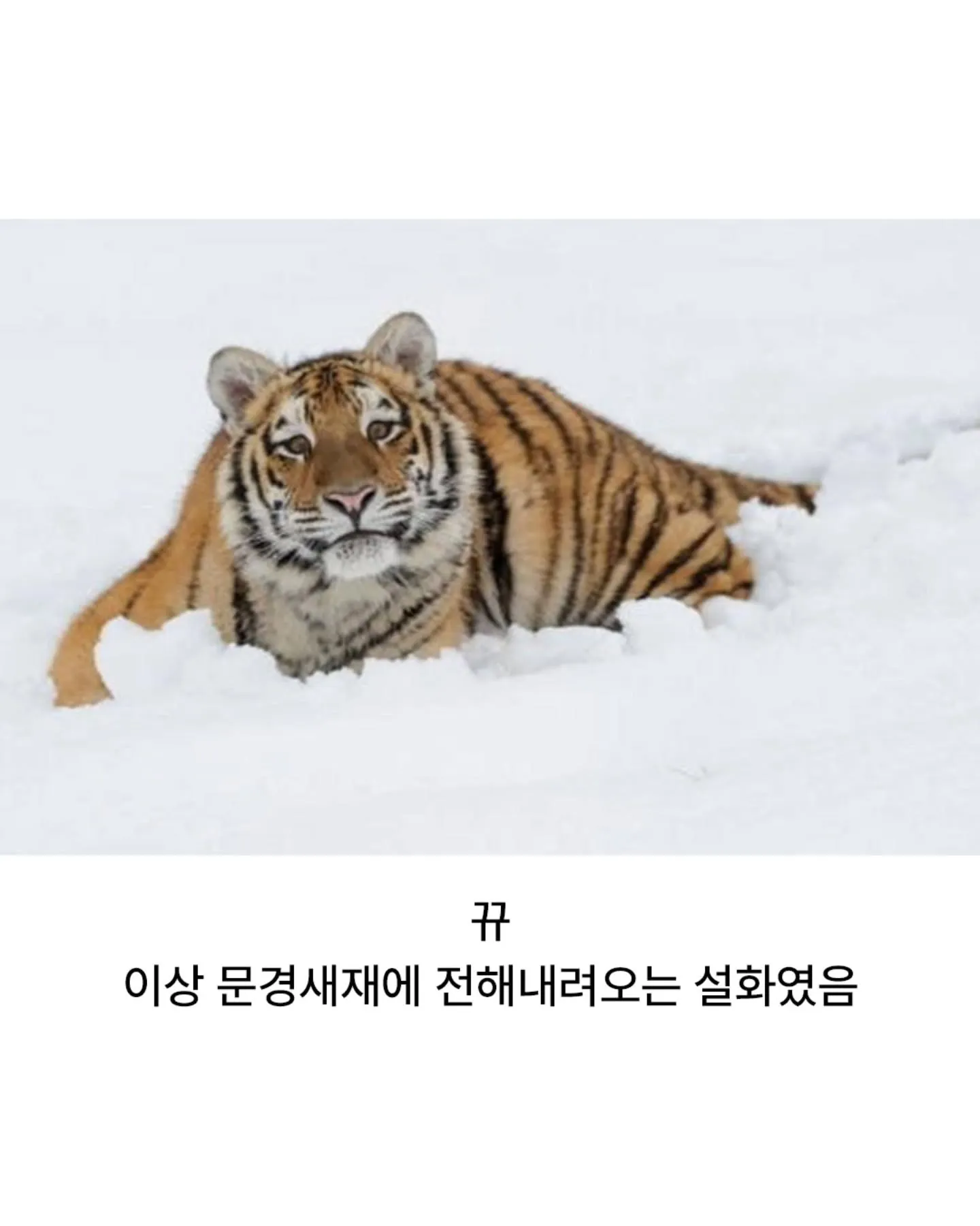 산신령에게 벌을 내린 태종 임금